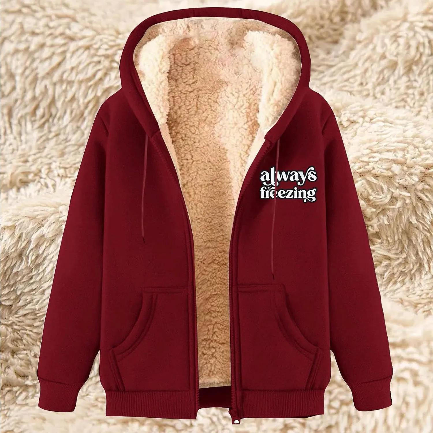 Winter Coats for Women Fleece Hooded Jackets 2024 Trendy Sherpa Lined Zip Up Warm Sweatshirt Winter Coats w/Pockets